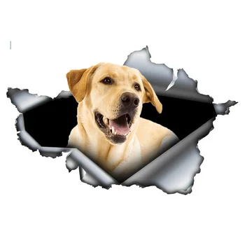 Orijinal tasarım güzel Labrador hound sarı 3D metal gözyaşı araba sticker, çizme vinil özel dekorasyon su geçirmez 13 cm x 8.5 cm